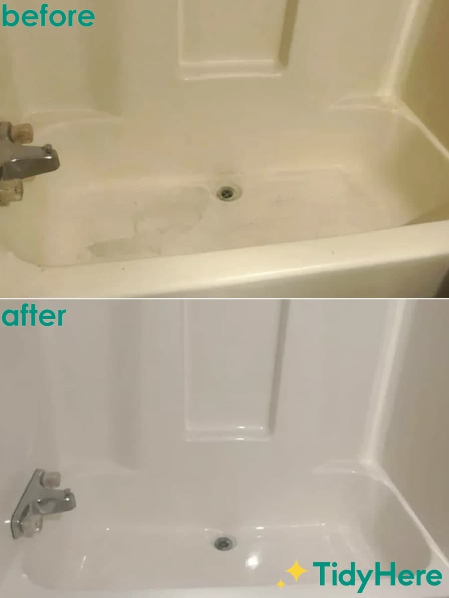 Tidy Here Cleaning Service Philadelphia cleaning services in Philadelphia, PA - photo 4