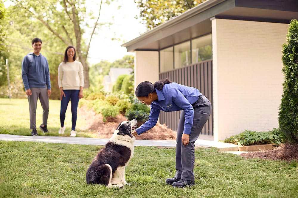 PURCOR Pest Solutions - Pembroke Pines