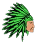 Apache Pest Control logo