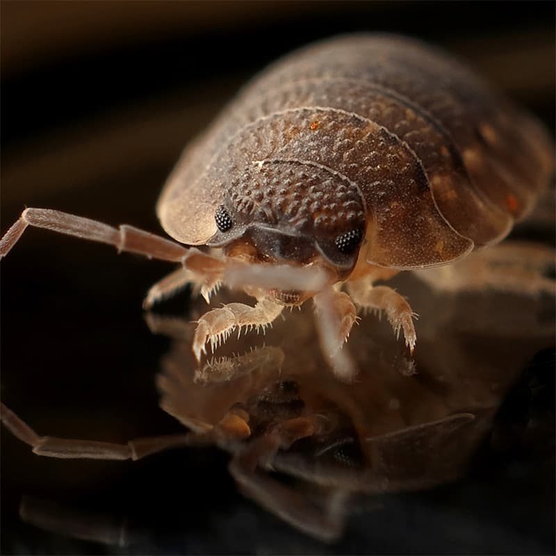 Gatekeepers Pest Solutions pest control in Pembroke Pines, FL - photo 5
