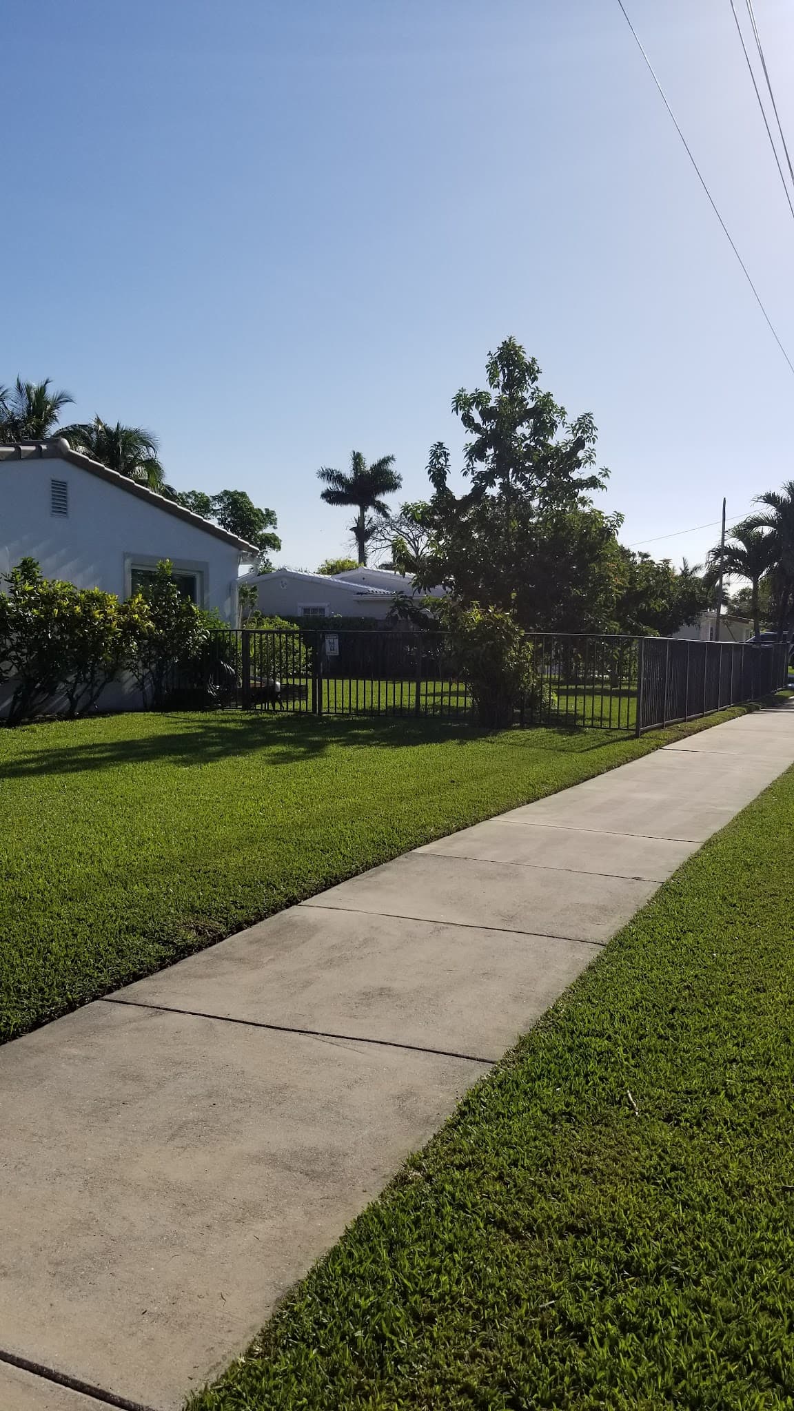 DeMarco Landscaping Design Group landscaping in Hollywood, FL - photo 5