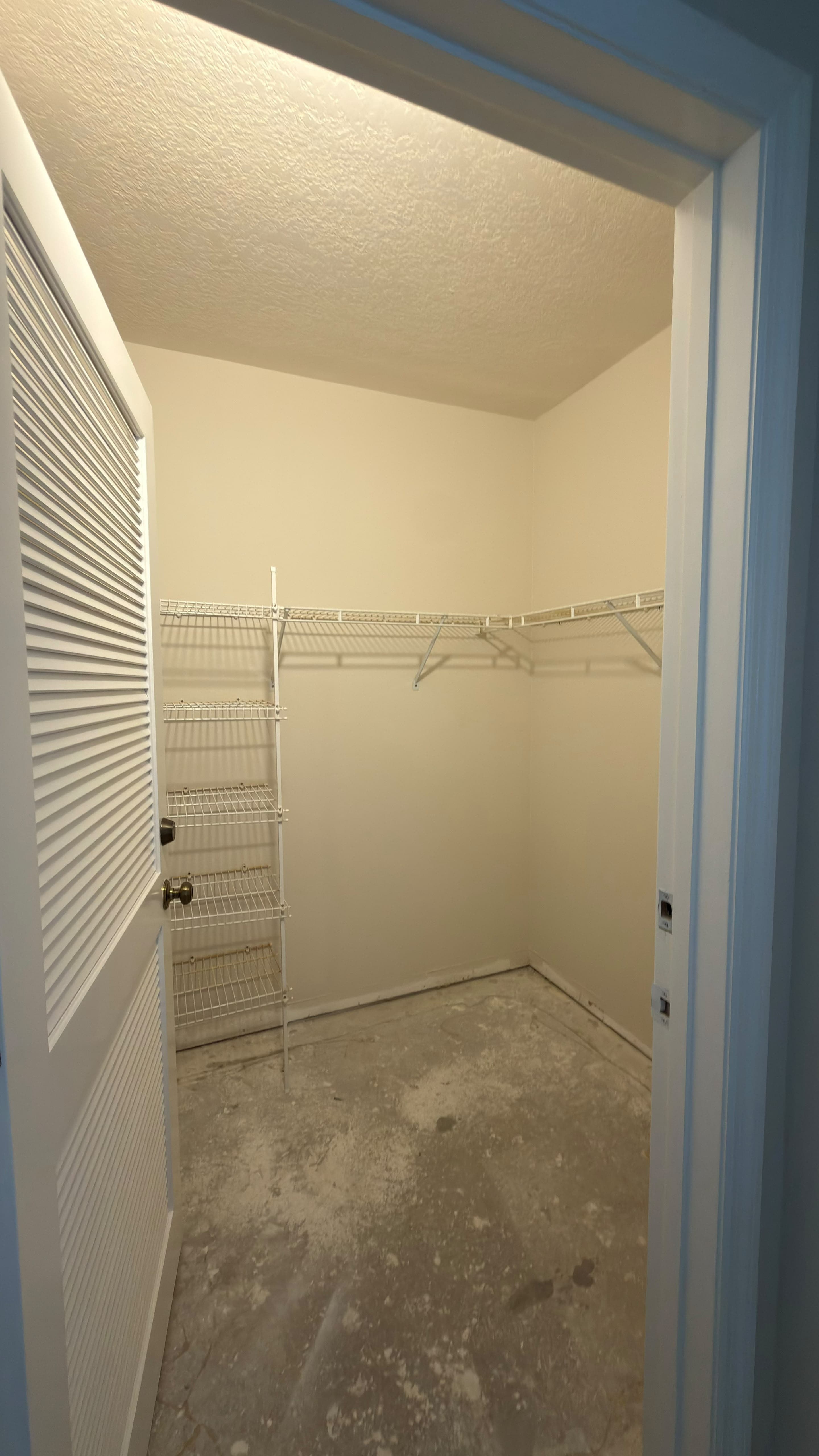 Refresh Painting painters in Wesley Chapel, FL - photo 9
