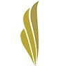 Elite Movers logo
