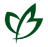 Evergreen Tree Company