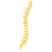 Fenn Chiropractic