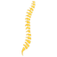 Fenn Chiropractic logo