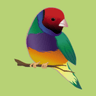 Finch Moving And Storage San Diego logo