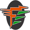 Flex Electric Inc - Florida logo