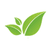 Garden Services