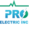 Go Pro Electric logo
