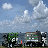 Greengold Tree Service logo