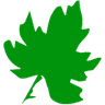 Green Leaf Zone logo