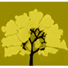 Jireh Tree Care LLC logo