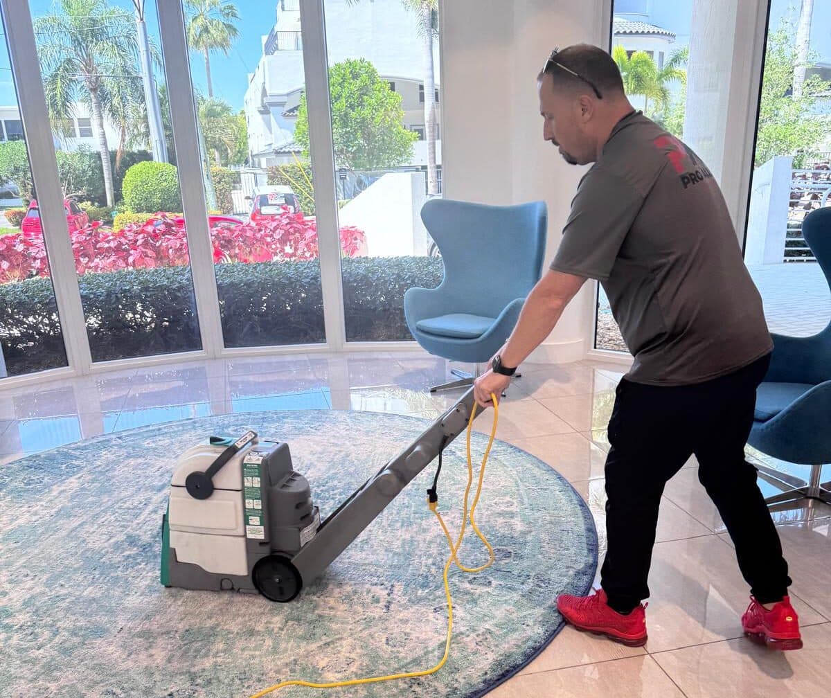 Pro Alliance Cleaning Services cleaning services in Pembroke Pines, FL - photo 5