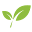 Revive Chiropractic logo