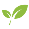 Revive Chiropractic logo