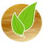 Southern Outdoor Design logo