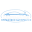 Ultimate Auto Detailing logo