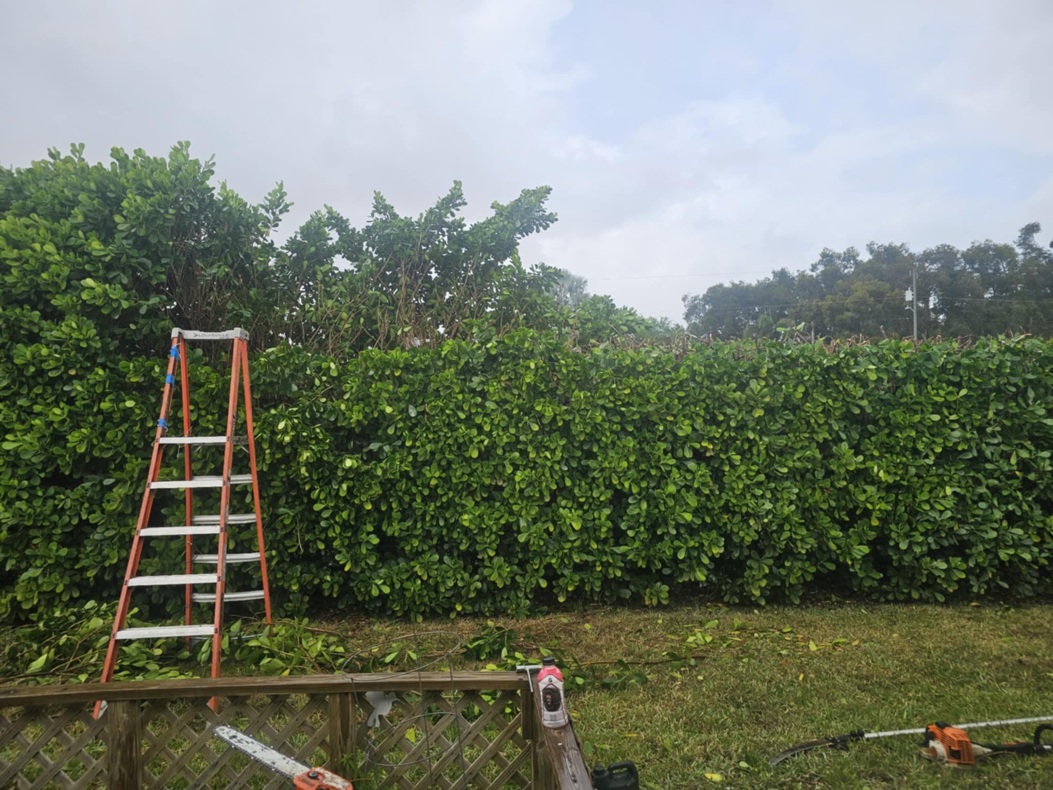 Land clearing