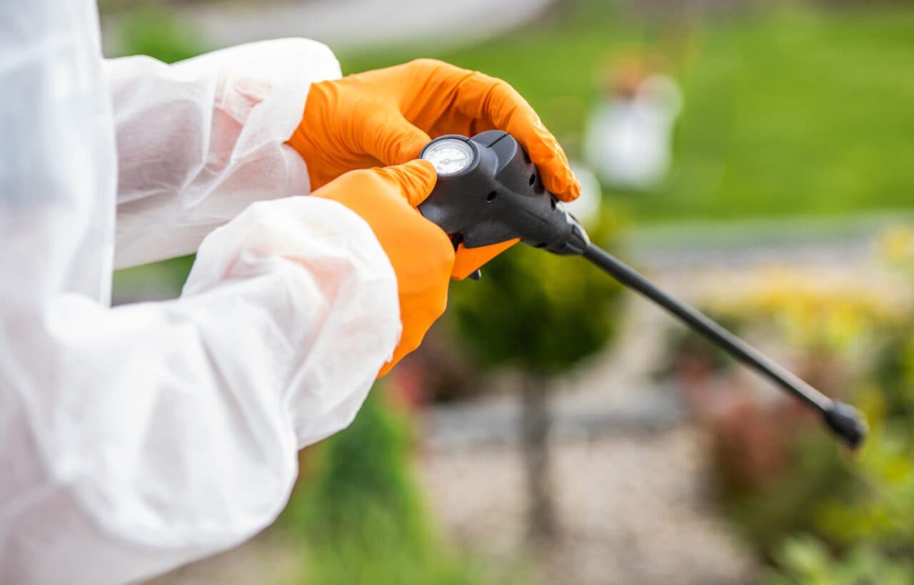 Mosquito control