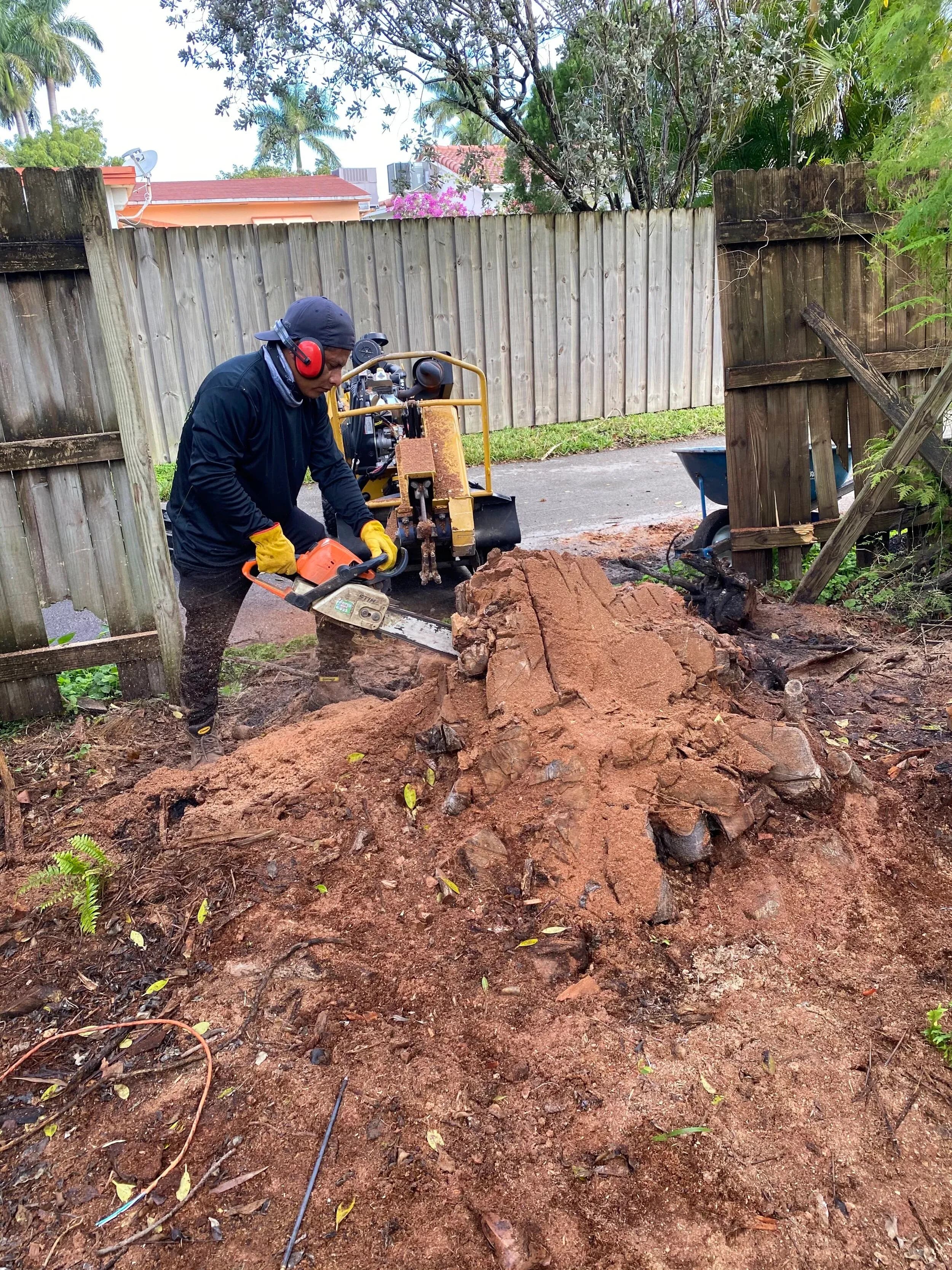 Tree removal